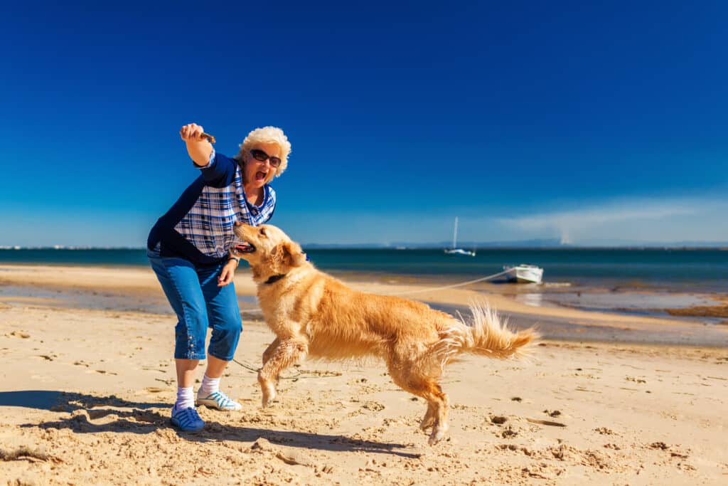 Woman playing fetch with golden retriever on beach.